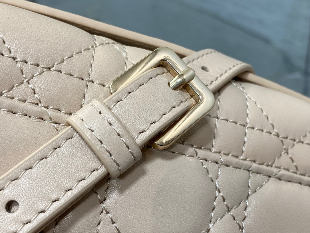 my D*or top handle bag 24x14x7.5cm