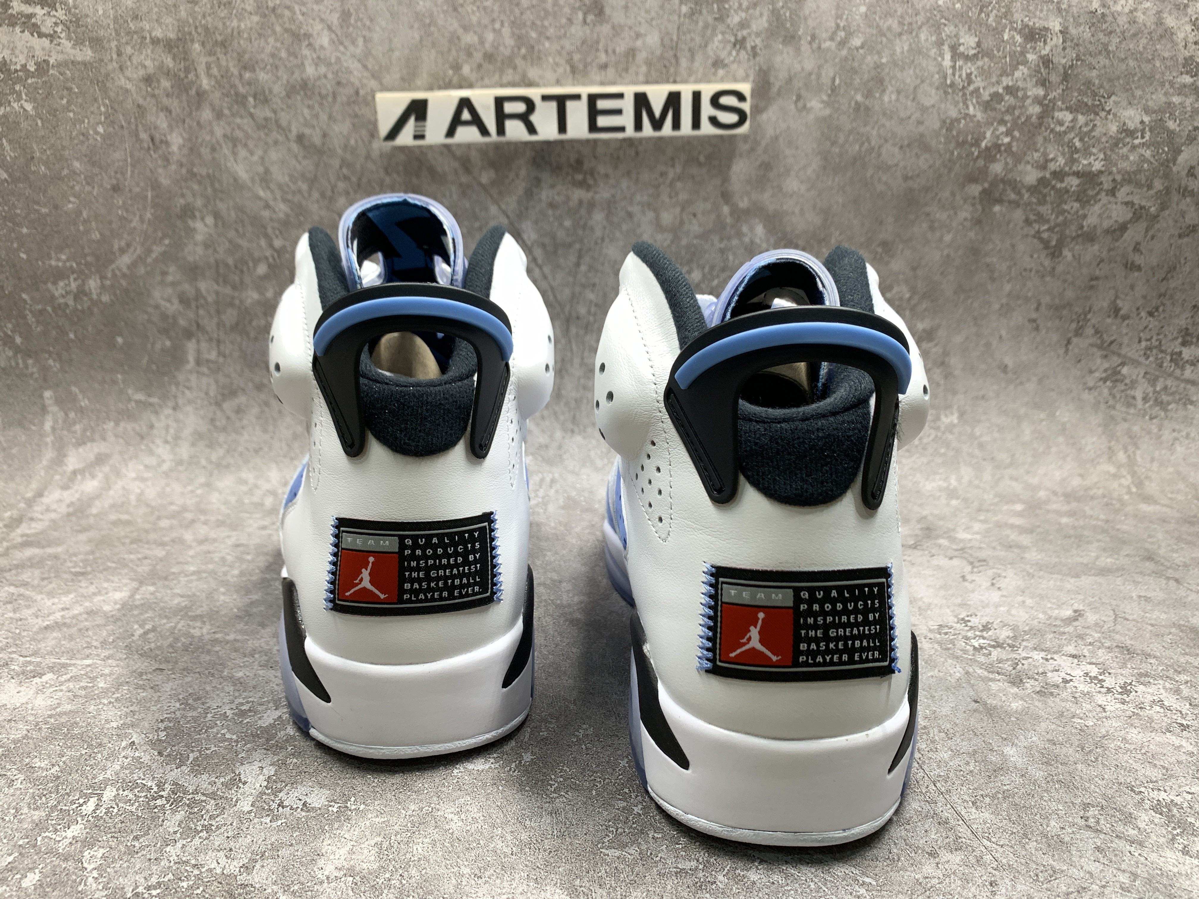 Air Jordan 6 UNC